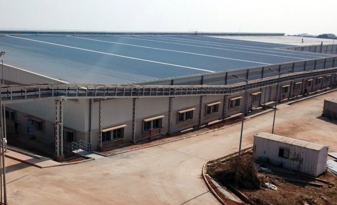 Portfolio Detail Image 1