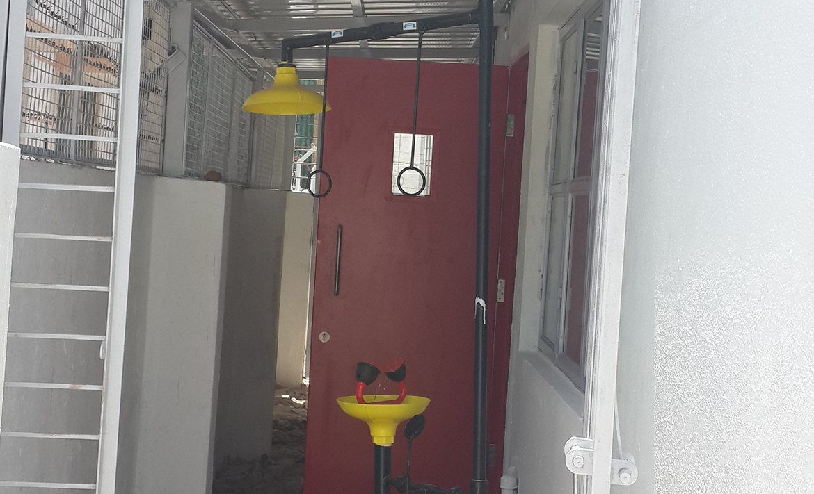 Portfolio Detail Image 9