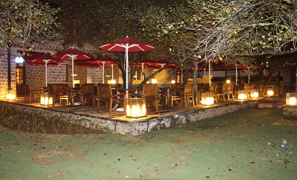 Portfolio Detail Image 12