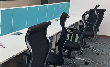 Related Portfolio Image 4